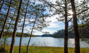 Da Lat Travel Guide Vietnam Tourism Da Lat Travel Guide Vietnam Tourism